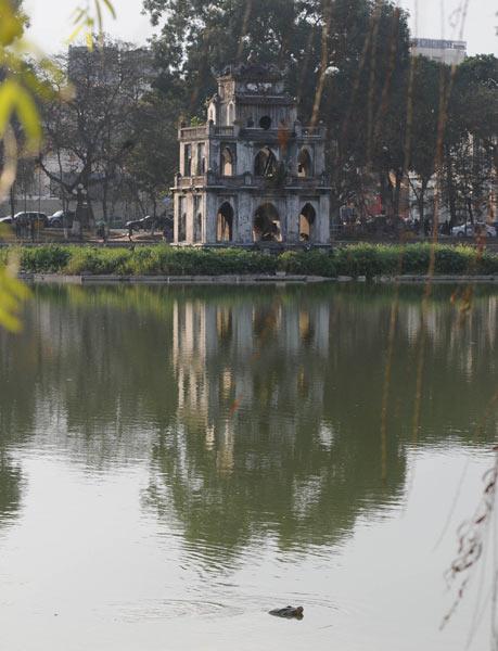 Treatment council for legendary turtle established