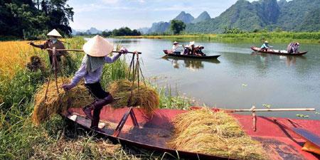Vietnamese lensman wins regional photo contest 