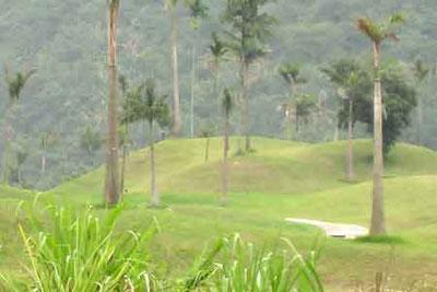 HCM City delays golf course projects