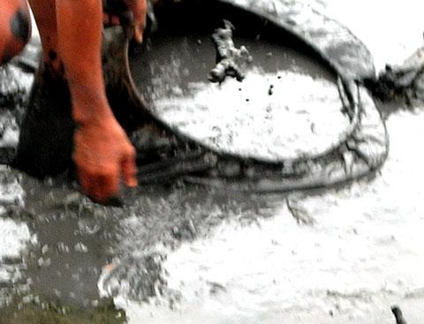 Paddling in mud to hunt food for ornamental fish