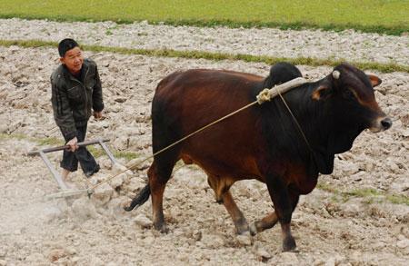 Foreign studies call for land policy reforms&nbsp;