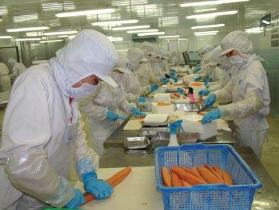 SMEs trying to diversify their business to struggle to survive