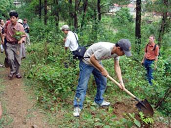 ENVIRONMENT IN BRIEF 22/3