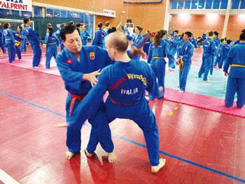 SEA Games 2011 will include Vietnam’s martial arts