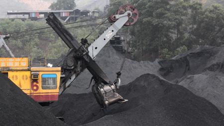 Should electricity, coal and petroleum prices be curbed or floated?