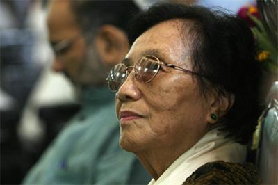 What do retired Vietnamese politicians do?