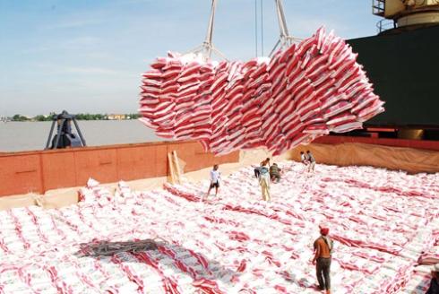 VN set to increase rice production by one million tons