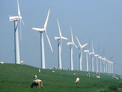 Lam Dong calls for investors of wind power projects