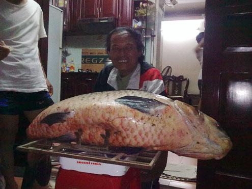 Giant carp fished in Hanoi