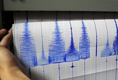 Strong quake jolts eastern Japan, no tsunami warning