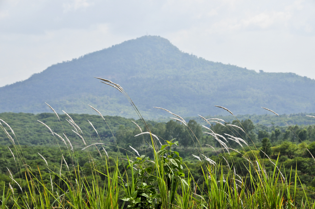 Visit Ba Ra Mountain in Vietnam Travel