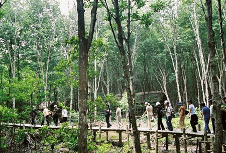 Explore wonderful natural world at Vam Sat Eco-Tourist Site