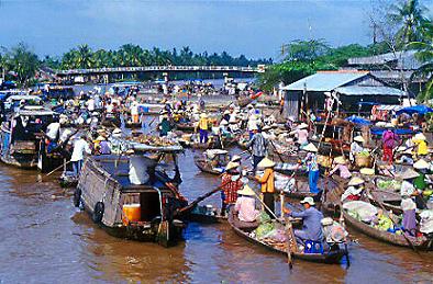 Travelling in Phong Dien, Can Tho