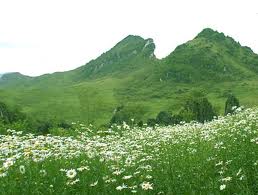 Ham Rong Mountain - Sapa