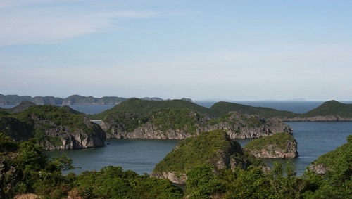 A wild beauty in Dong Chau Beach