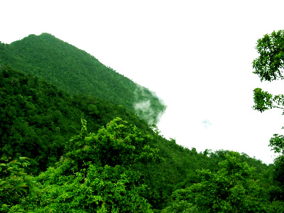 Travelling to Tam Dao National Park 