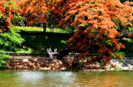 Visiting Thu Le Park in Hanoi