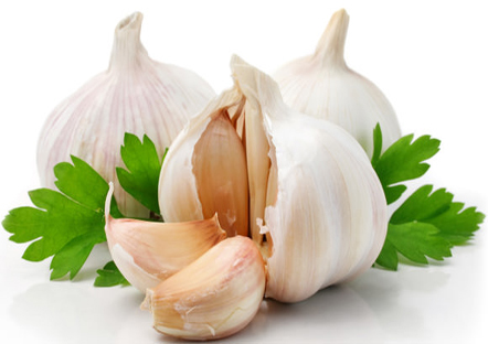 Garlic, the world's healthiest herb